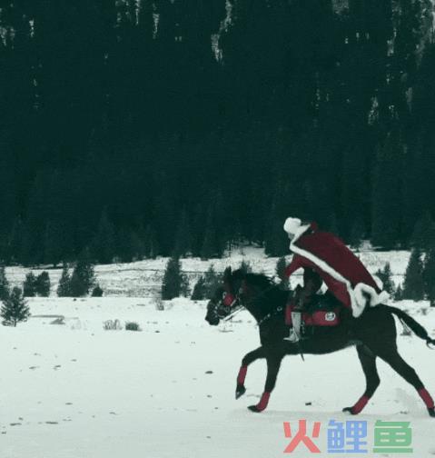 4000万粉丝网红被骂哭，全国文旅大战“杀”疯了