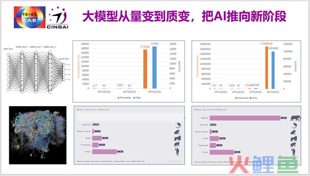 龚克：明天我们该怎样看野生智能？