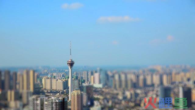 最高1000万元经费！野生智能这一政策办法印发