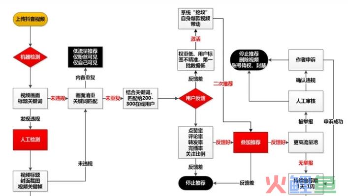 抖音，小红书，视频号算法流量推荐机制