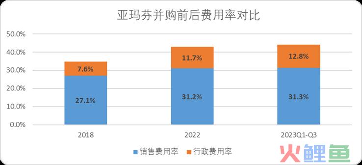 安踏的全球化故事，就像一只“始祖鸟”