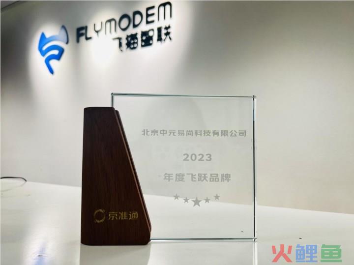 飞猫荣获京东京准通2023年度飞跃品牌奖，引领行业创新与市场表现