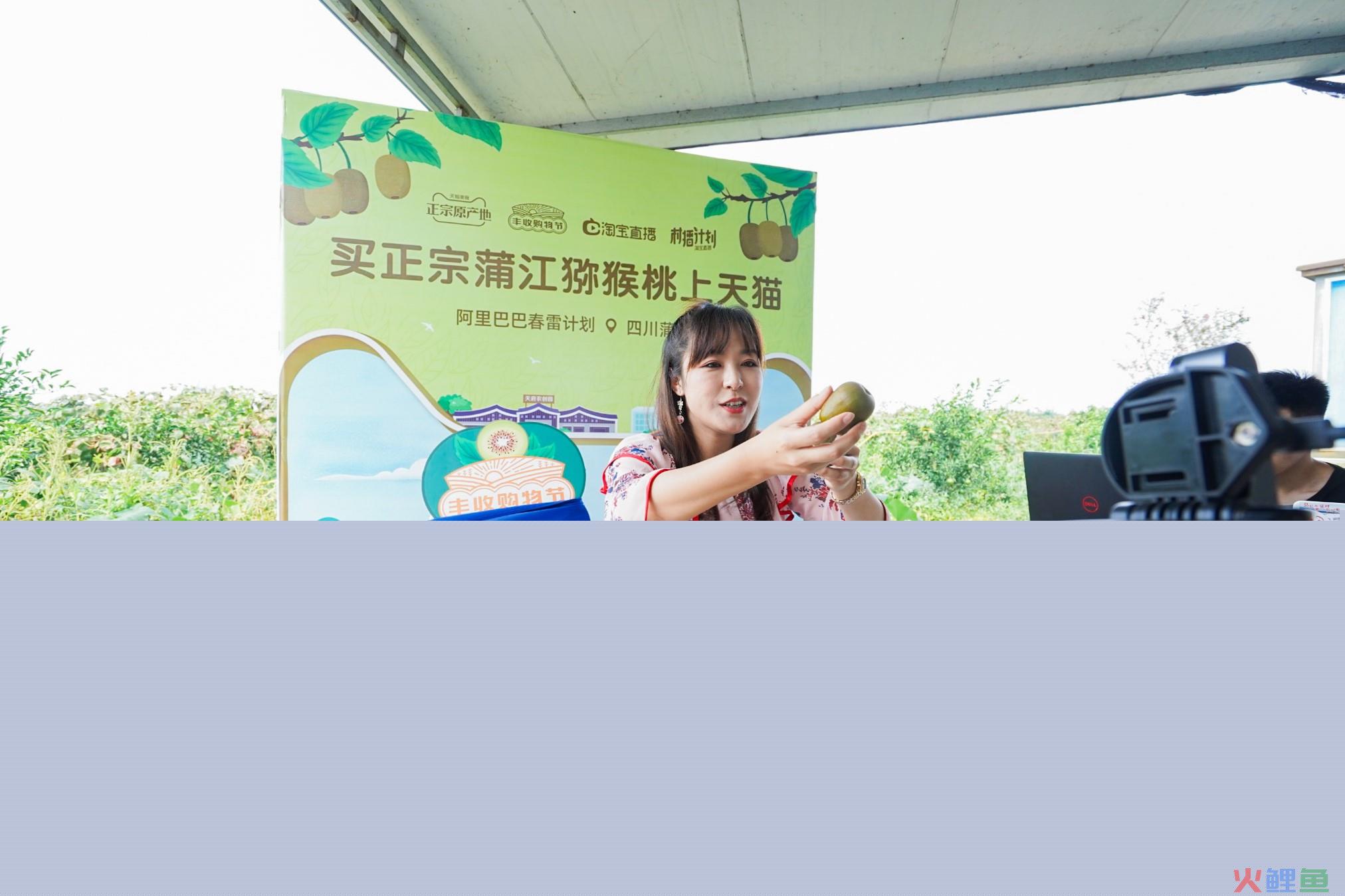 淘宝直播间推广多少钱一天？直播推流费用多少？