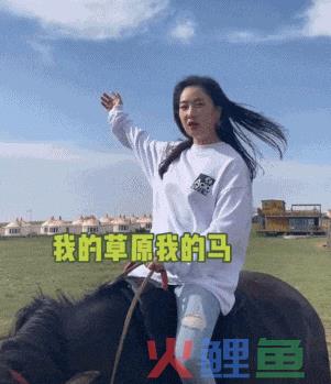 美男计、科目三，各地文旅卷疯了！？