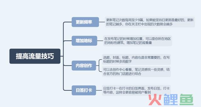 一文教你学会运营小红书，含降权雷区、进步流量技能、算法机制等