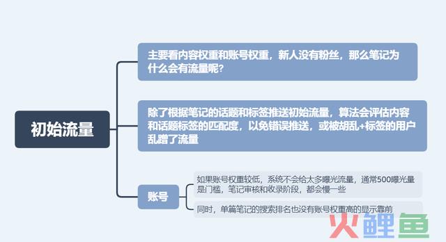 一文教你学会运营小红书，含降权雷区、进步流量技能、算法机制等