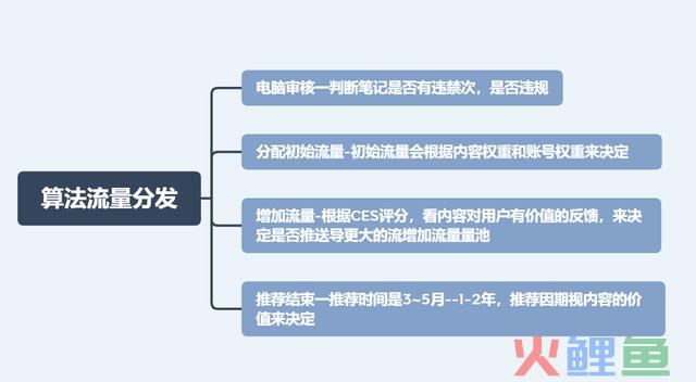 一文教你学会运营小红书，含降权雷区、进步流量技能、算法机制等