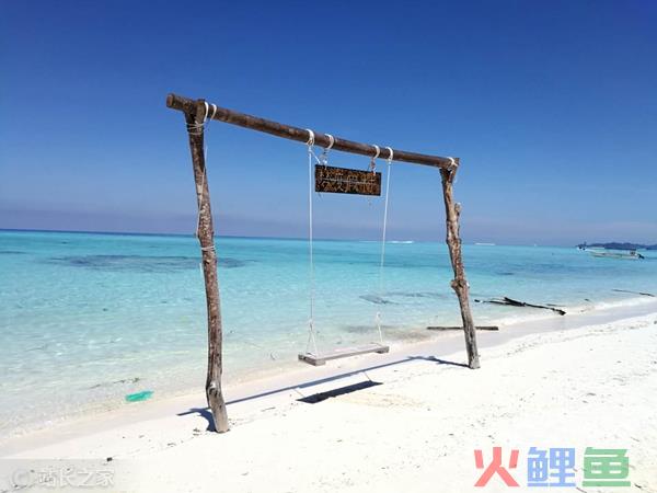 “尔滨”火了，文旅账号狂飙：“文旅局长”成新晋网红IP？