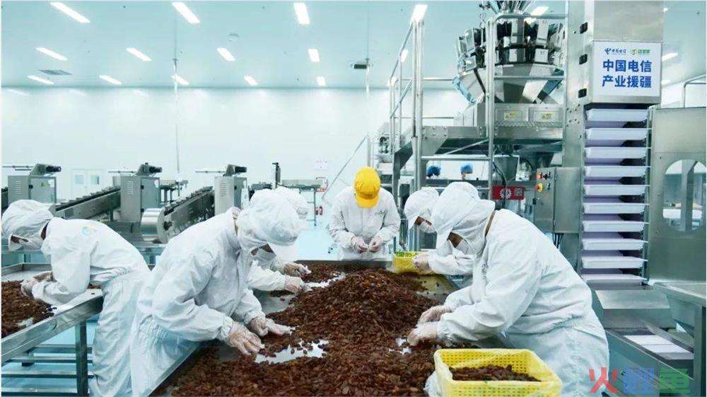 “新疆大坚果”品质成为疆果果打破同质化竞争的流量密码