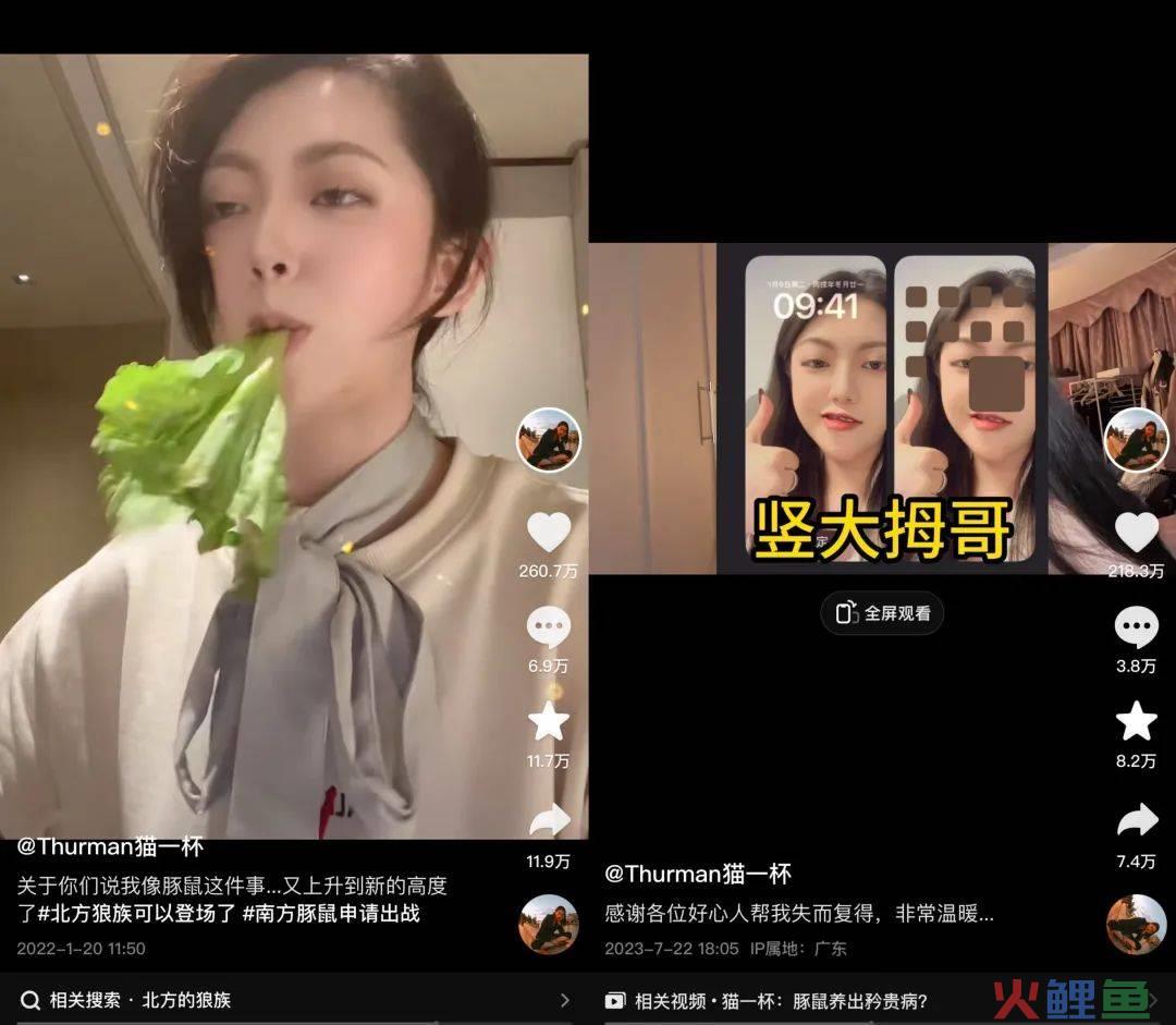 全网粉丝超4000万，“猫一杯”的互联网唠嗑记