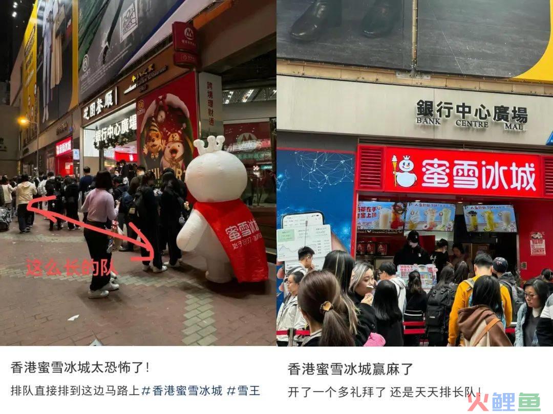 香港人排队送钱后，蜜雪们开始“北伐”香港开店