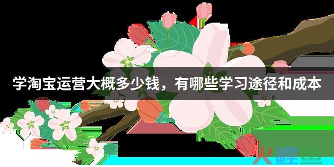 学习淘宝运营与推广要多少钱？淘宝运营推广怎么做？