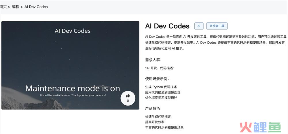 AI Dev Codes官网体验入口 AI开发者工具代码描述工具免费试用地址
