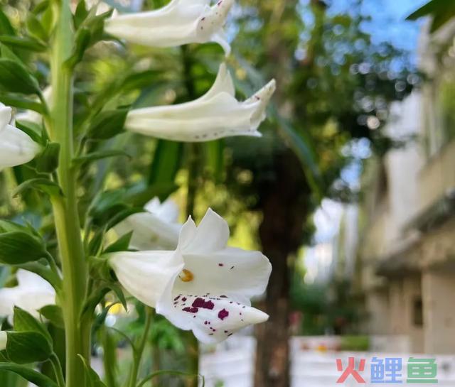 聪明人的小我长大：实在、爱、能量