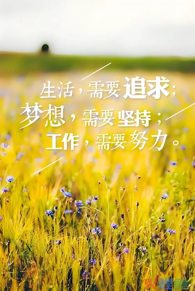 增加正能量的50个方式，只用一遍，能量翻倍！