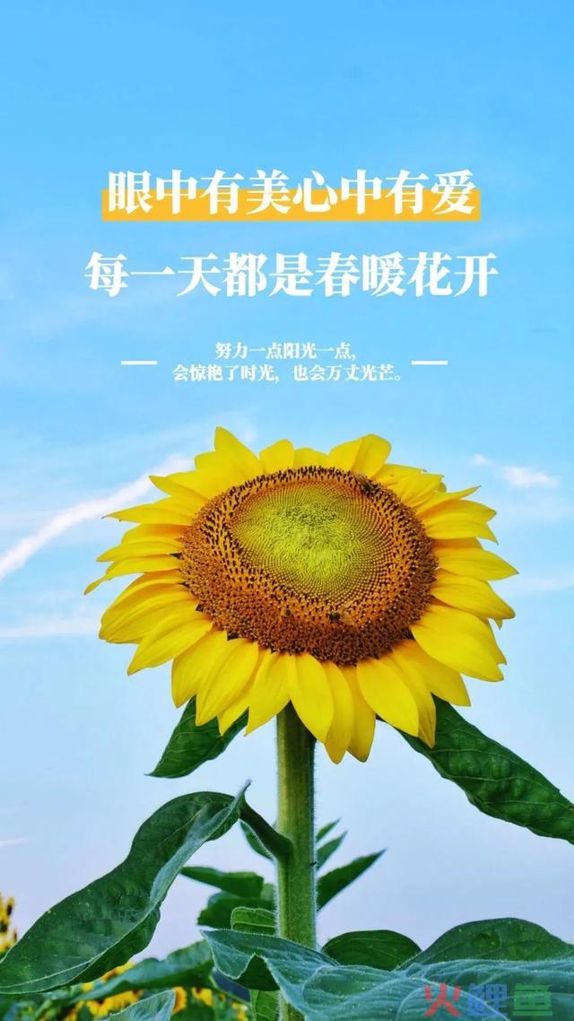 增加正能量的50个方式，只用一遍，能量翻倍！