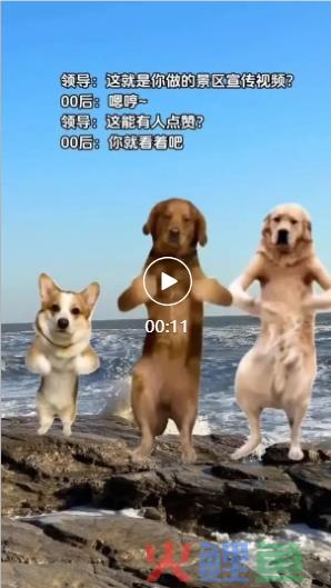 小红书博主用AI制作文旅宣传片 点赞超39万