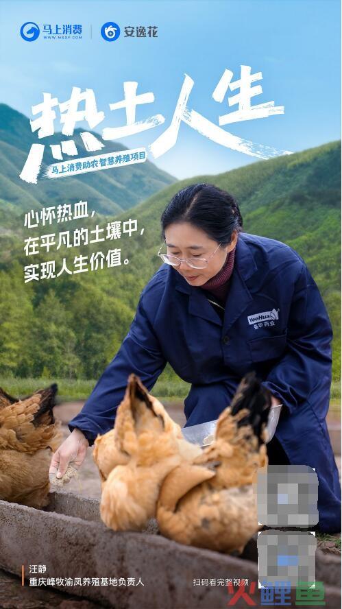马上消费金融助力智慧养殖，推进乡村产业的新变局