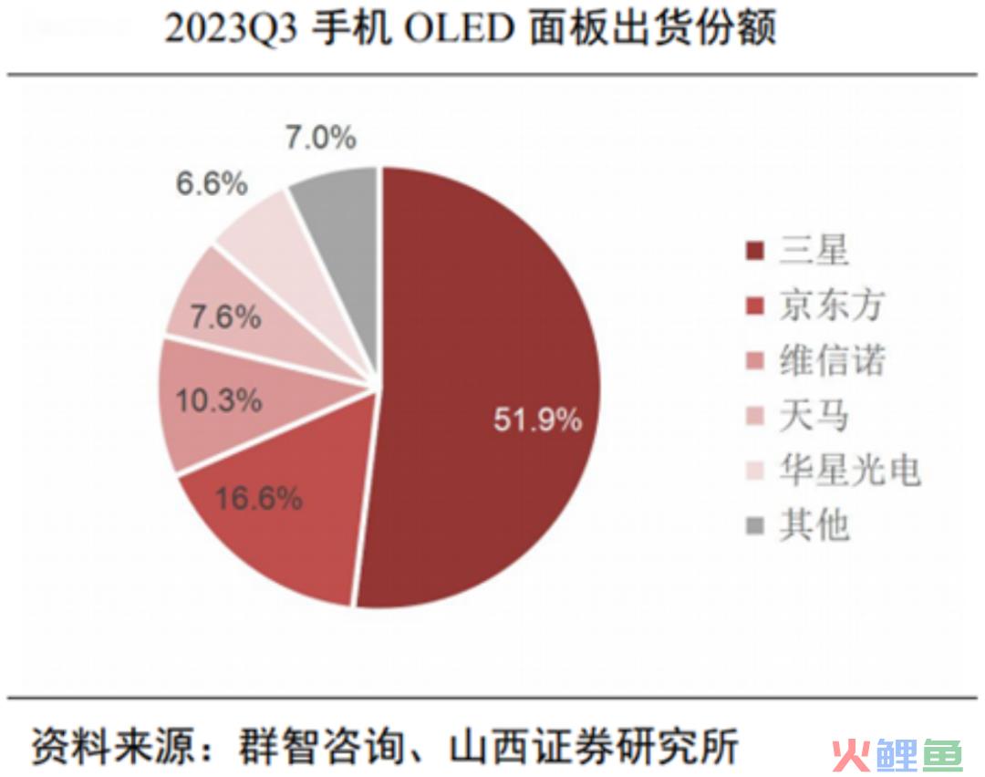 中国面板行业大抉择｜展望2024