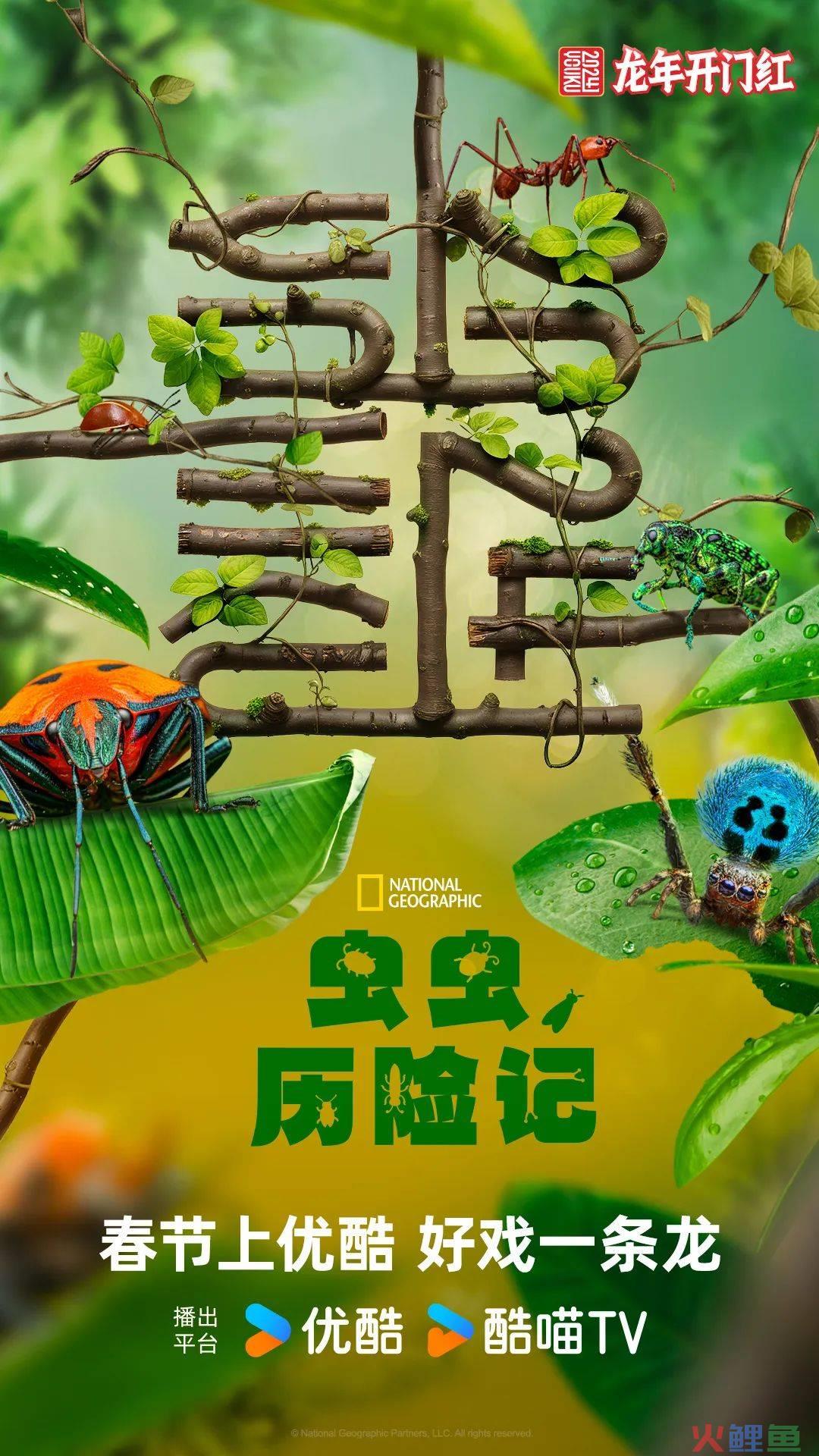优酷龙年主标识背后的文化意象:CNY品牌营销激发内容势能