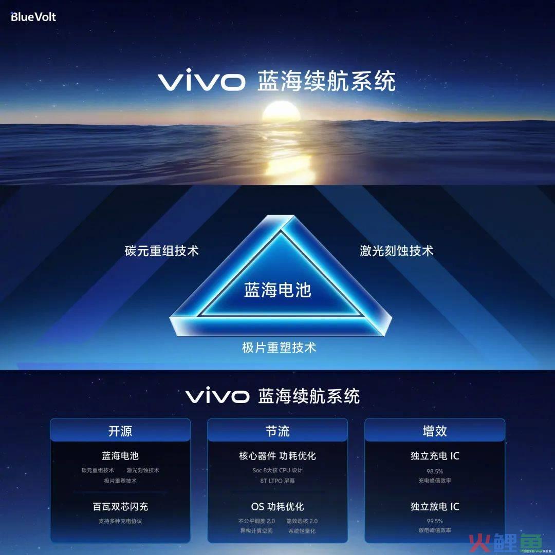内卷中突围，蝉联国产第一的vivo凭什么？