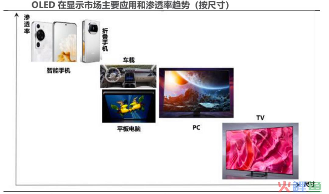 中国面板行业大抉择｜展望2024