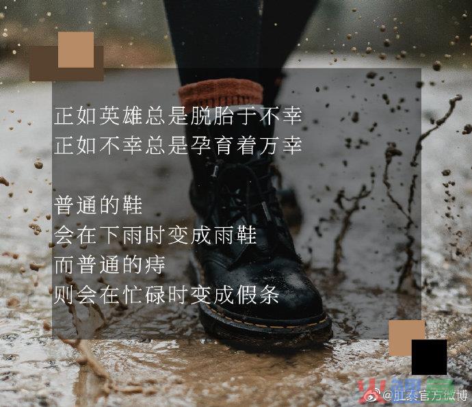 肛泰的神文案，哈哈哈哈神金啊！