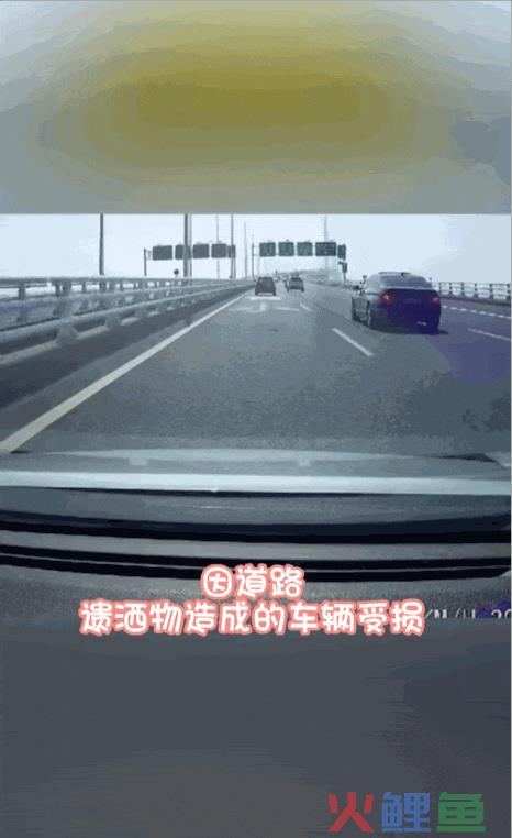 直播高速路况，半个月竟暴涨246万粉丝！她做对了什么？