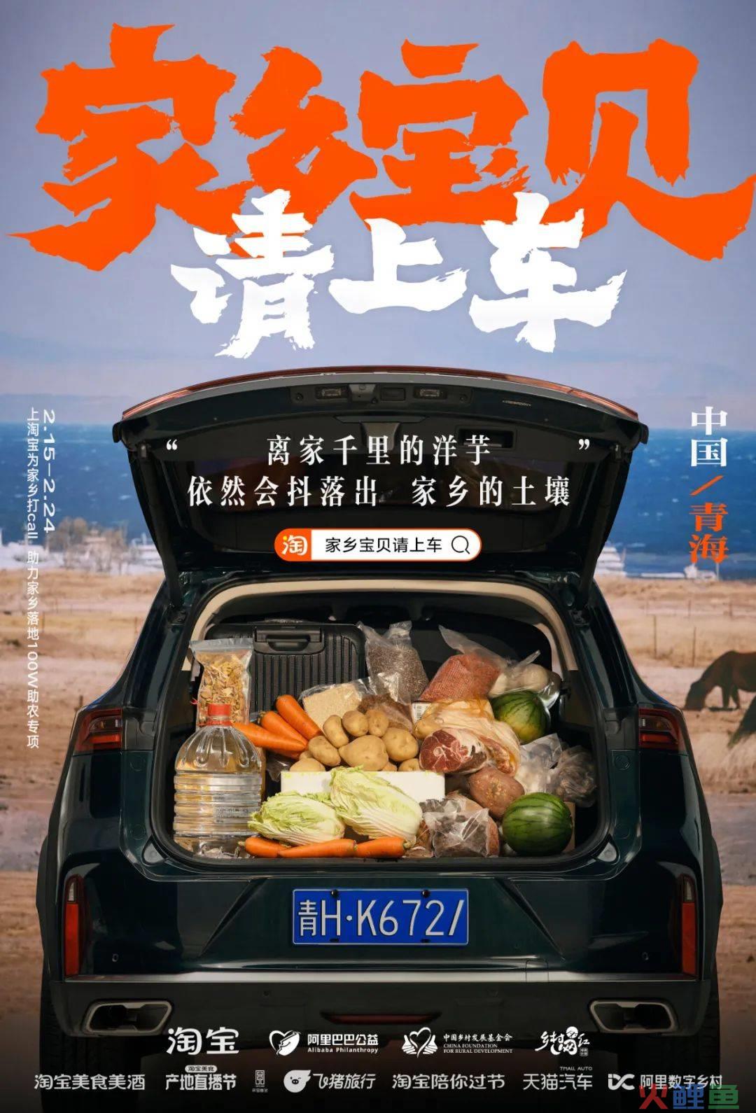 凭公益突围CNY营销,淘宝号召全网「我的家乡我来宝贝」