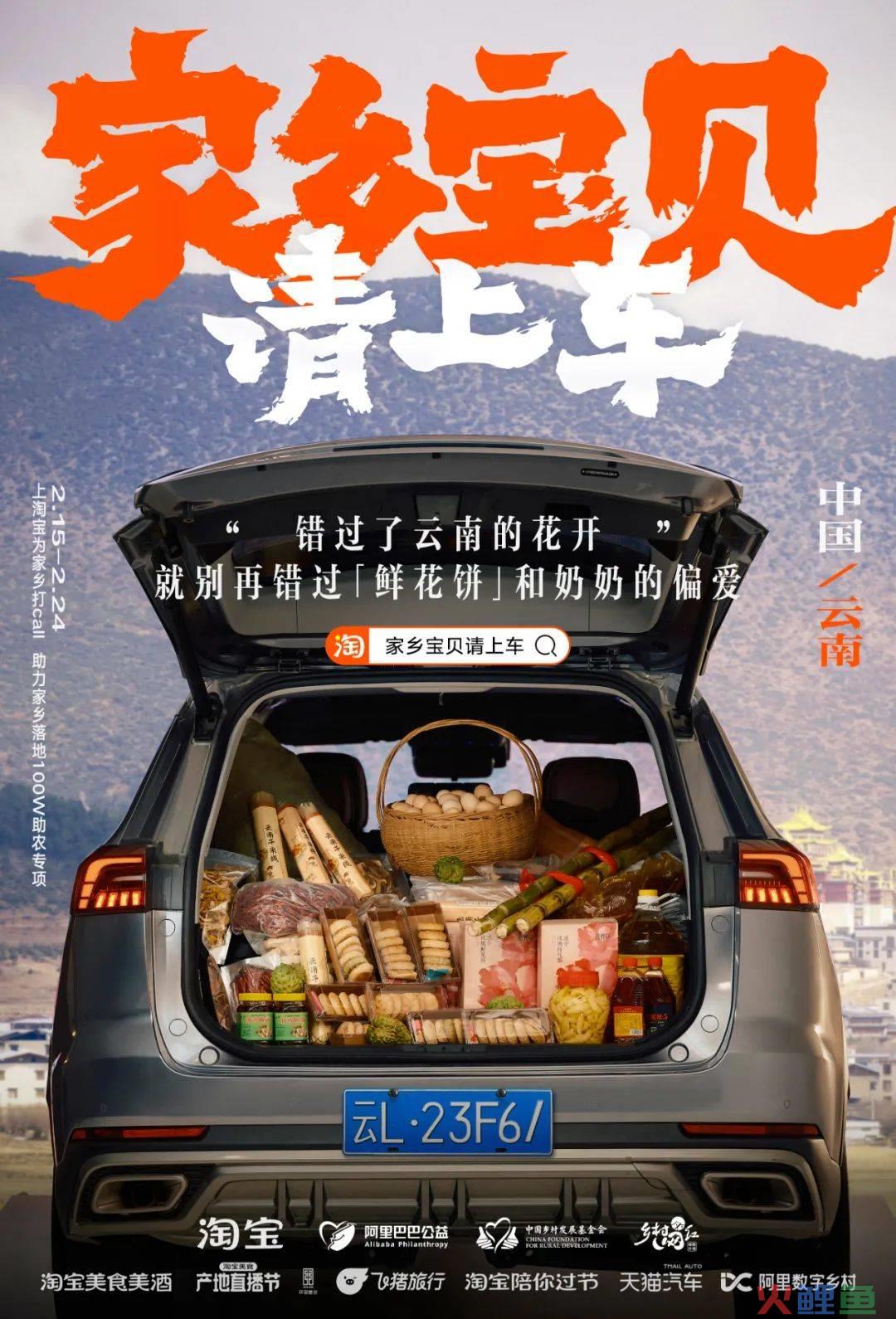 凭公益突围CNY营销,淘宝号召全网「我的家乡我来宝贝」