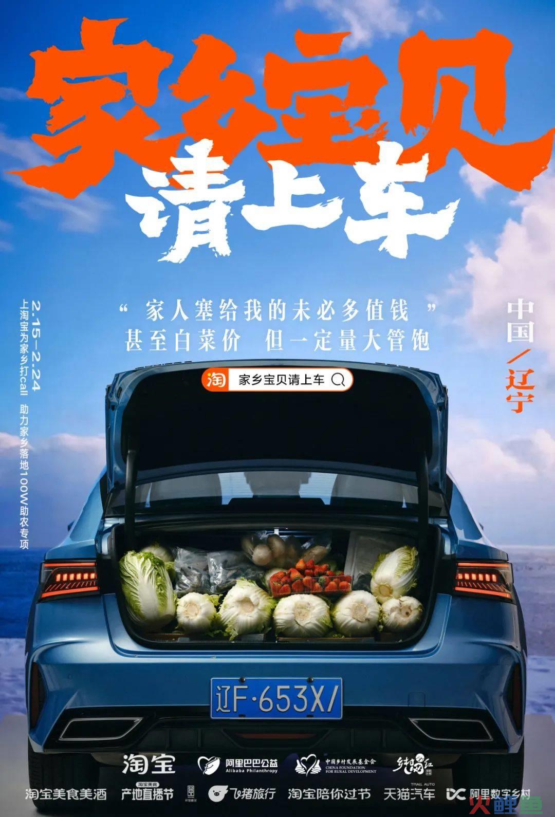 凭公益突围CNY营销,淘宝号召全网「我的家乡我来宝贝」