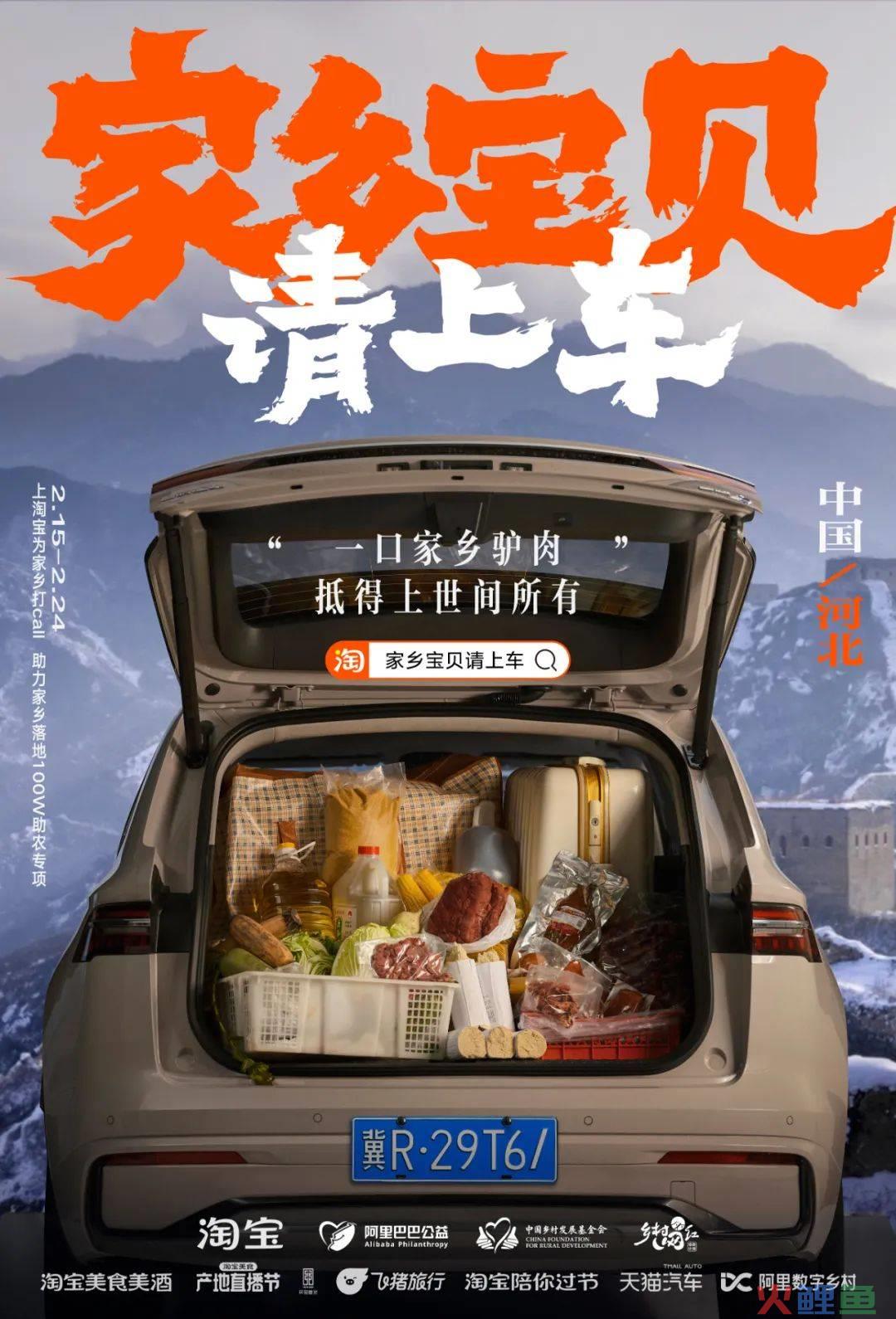 凭公益突围CNY营销,淘宝号召全网「我的家乡我来宝贝」