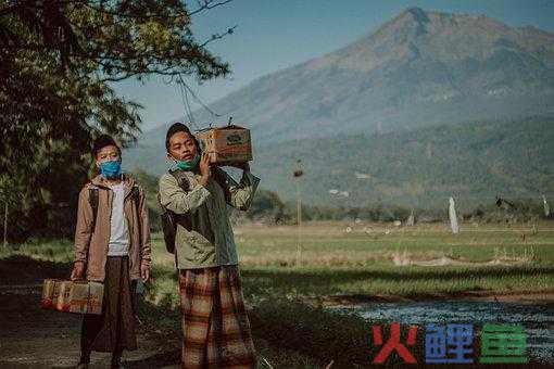 拼多多商家冻结资金能解决吗 拼多多商家被冻结怎么办