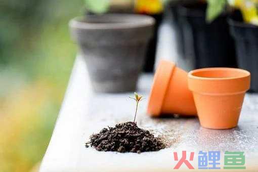 淘宝直播店铺需要什么条件 淘宝店铺直播怎么推广引流
