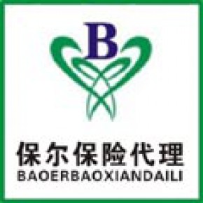 河南保尔保险代理有限公司