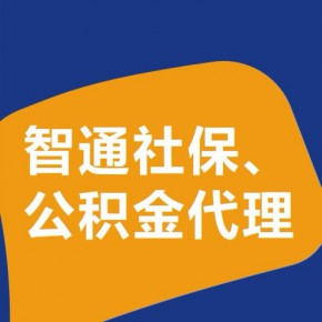宁波市智通人力资源服务有限公司
