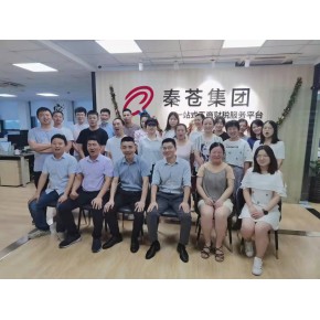 上海秦苍财务咨询（集团）有限公司