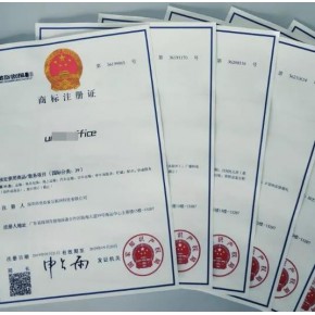 安徽飞镖知识产权服务股份有限公司