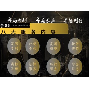 北京市领专知识产权代理有限公司