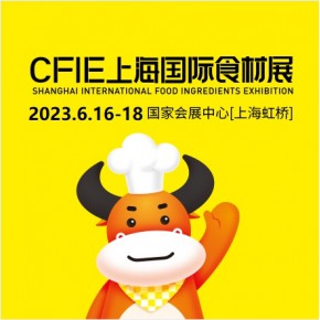 上海盛励展览有限公司