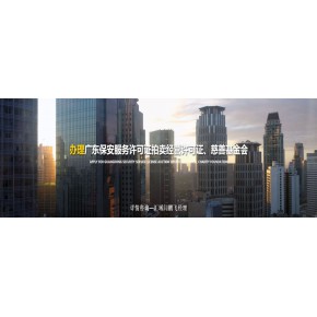 深圳汇域财务顾问有限公司