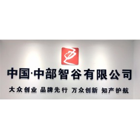 中部智谷有限公司