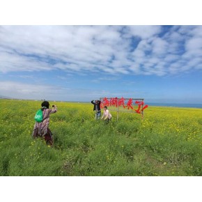 宁夏友谊旅游汽车有限公司