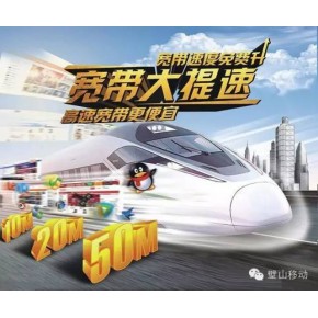 中国移动通信集团重庆有限公司璧山分公司