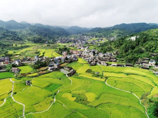 农村