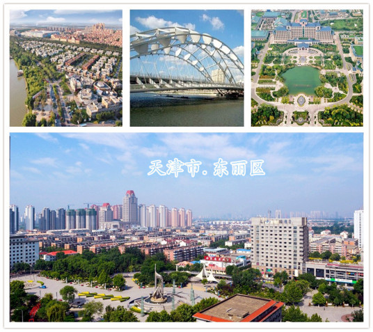 东丽区