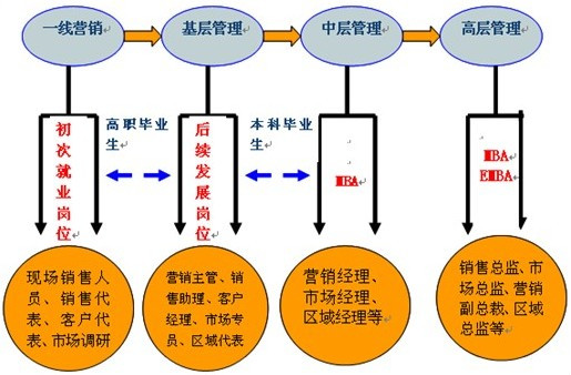 市场总监