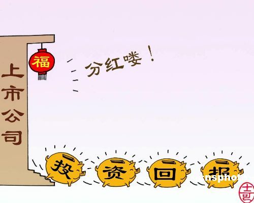 红利