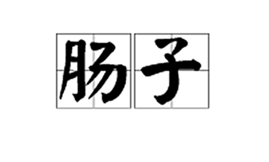 肠子