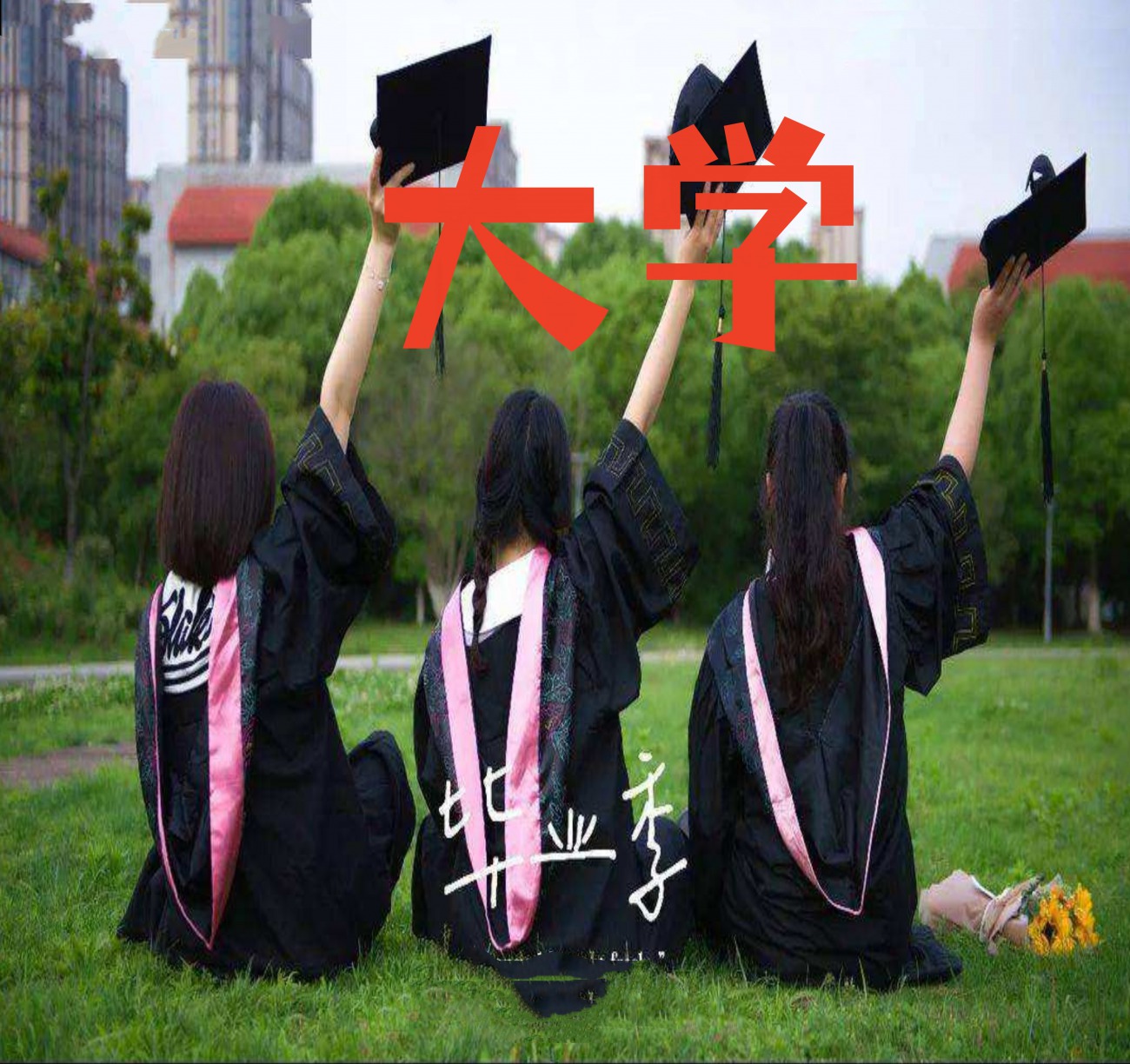 天津城市职业学院毕业证丢了如何补